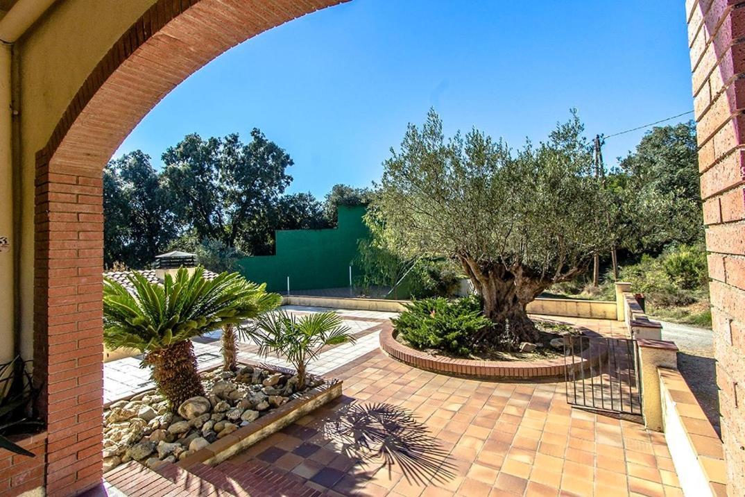 Catalunya Casas Nature And Tranquility For 24 Pax - 30Km To Beach Sant Pere de Vilamajor Exteriör bild
